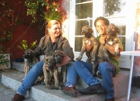 Wolfhouse Irsk Ulvehunde 2004